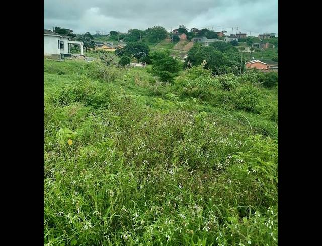 LAND FOR SALE IN LOVU